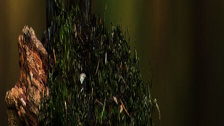 Jongen met een roze hoodie op een betonnen muur.